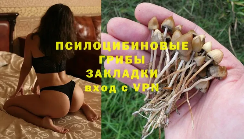 Псилоцибиновые грибы Magic Shrooms  дарк нет наркотические препараты  Кукмор 